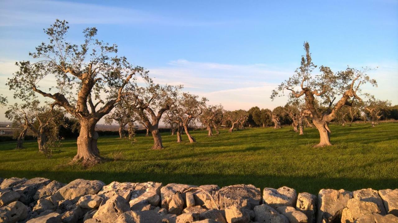 Antiche Mura Apartments "Nel Cuore Della Puglia"Bivani, Cucina, Terrazzo Turi Extérieur photo